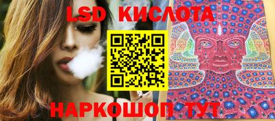 шишки Тара