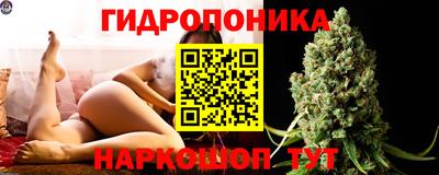 шишки Тара