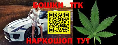 шишки Тара