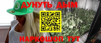 шишки Тара