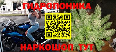 дурь Тверь
