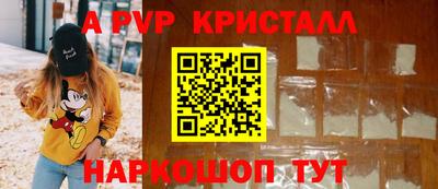 шишки Тара