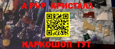 шишки Тара