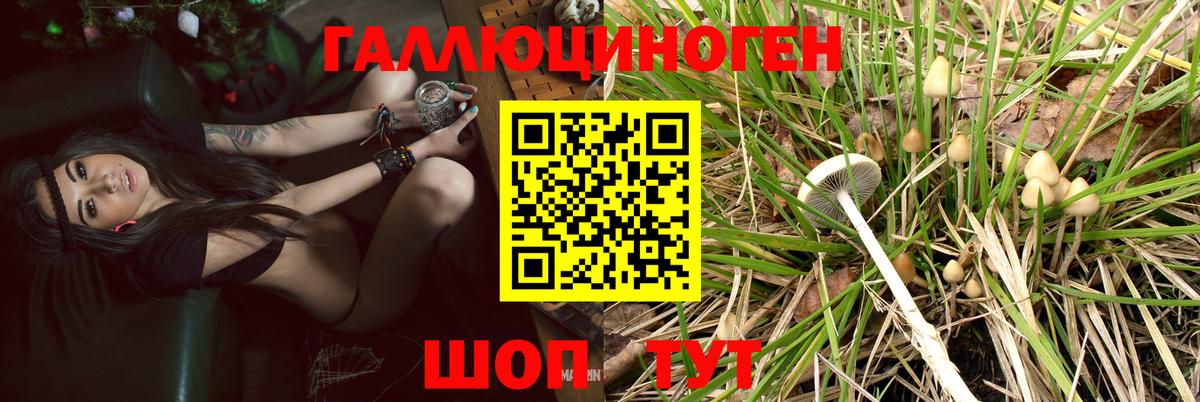 Псилоцибиновые грибы мухоморы Богородск