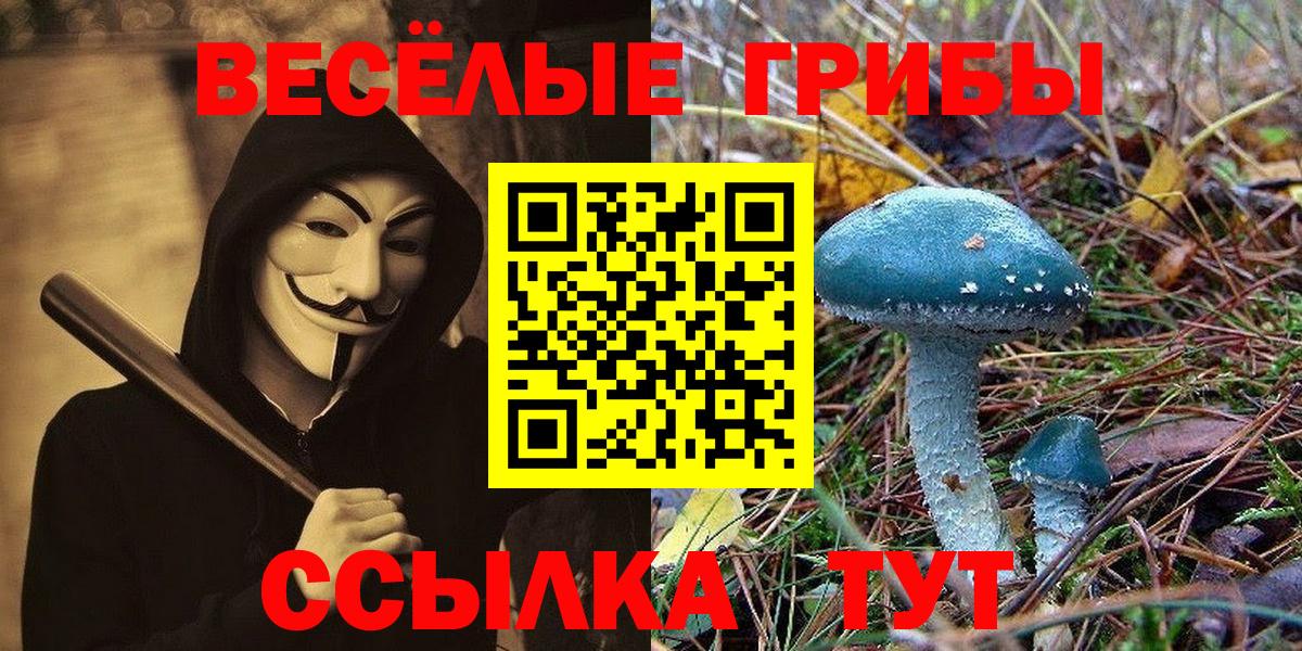 Псилоцибиновые грибы мицелий  Вход с VPN  Псилоцибиновые грибы Psilocybine cubensis  Богородск 